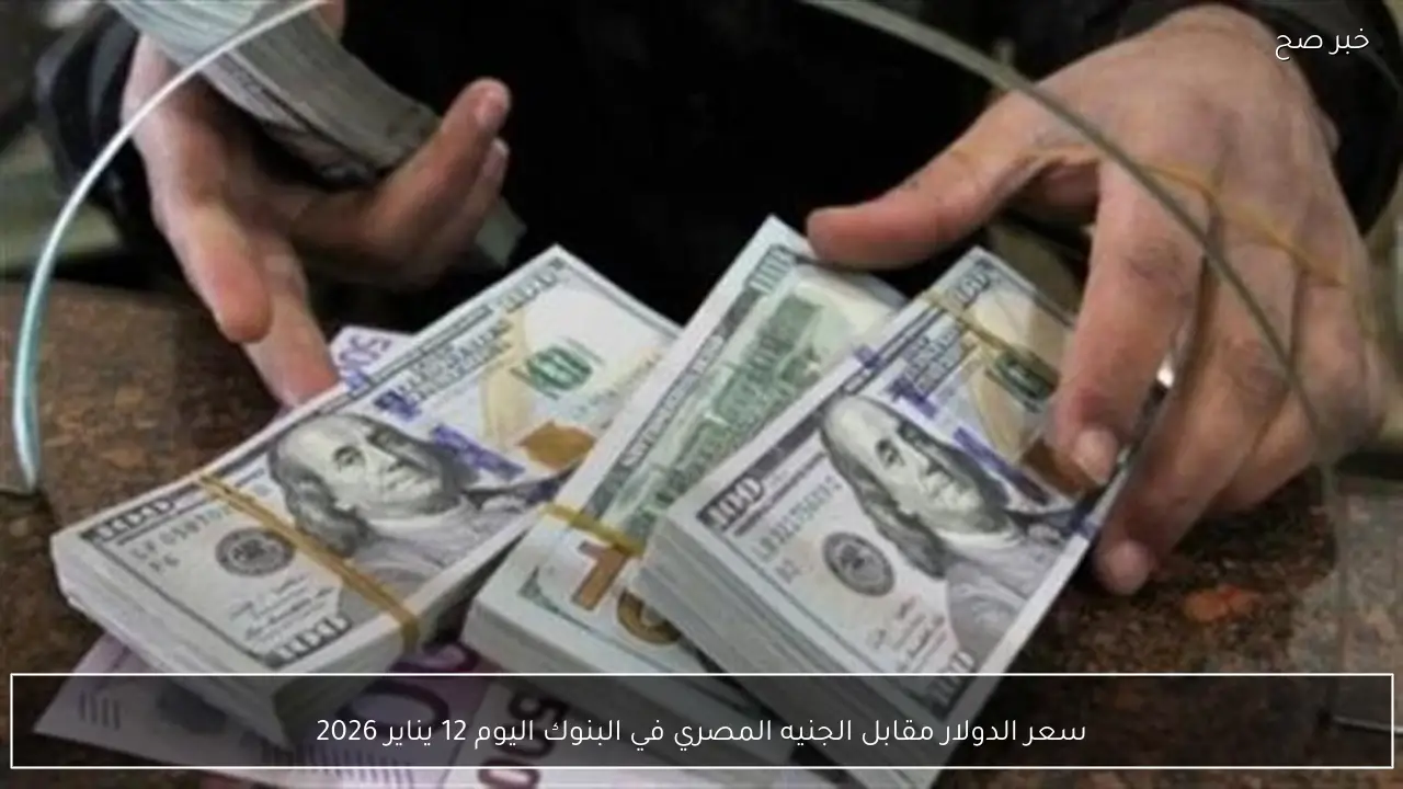 سعر الدولار مقابل الجنيه المصري في البنوك اليوم 12 يناير 2026