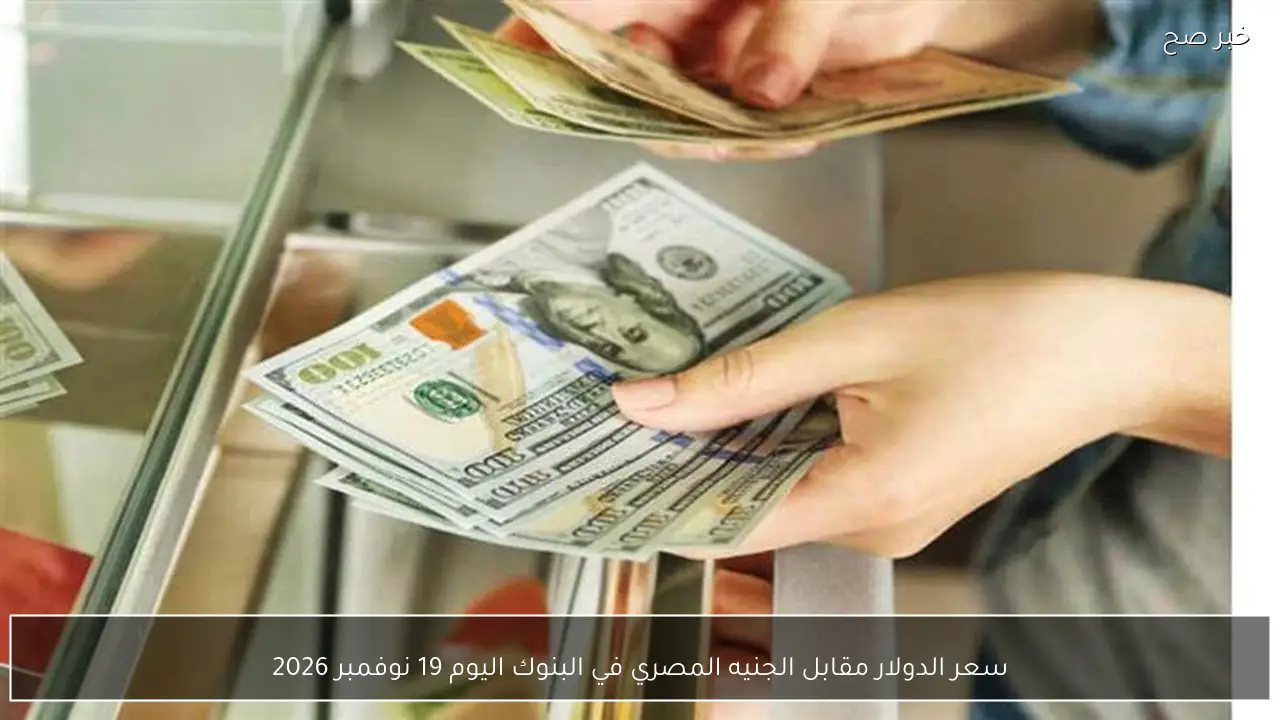 سعر الدولار مقابل الجنيه المصري في البنوك اليوم 19 نوفمبر 2026