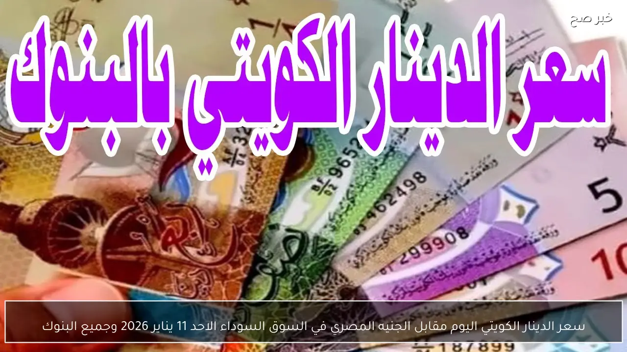 سعر الدينار الكويتي اليوم مقابل الجنيه المصري في السوق السوداء الاحد 11 يناير 2026 وجميع البنوك
