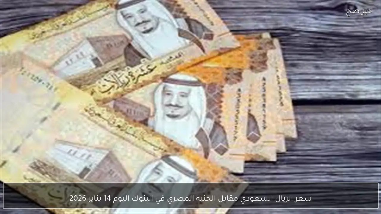 سعر الريال السعودي مقابل الجنيه المصري في البنوك اليوم 14 يناير 2026