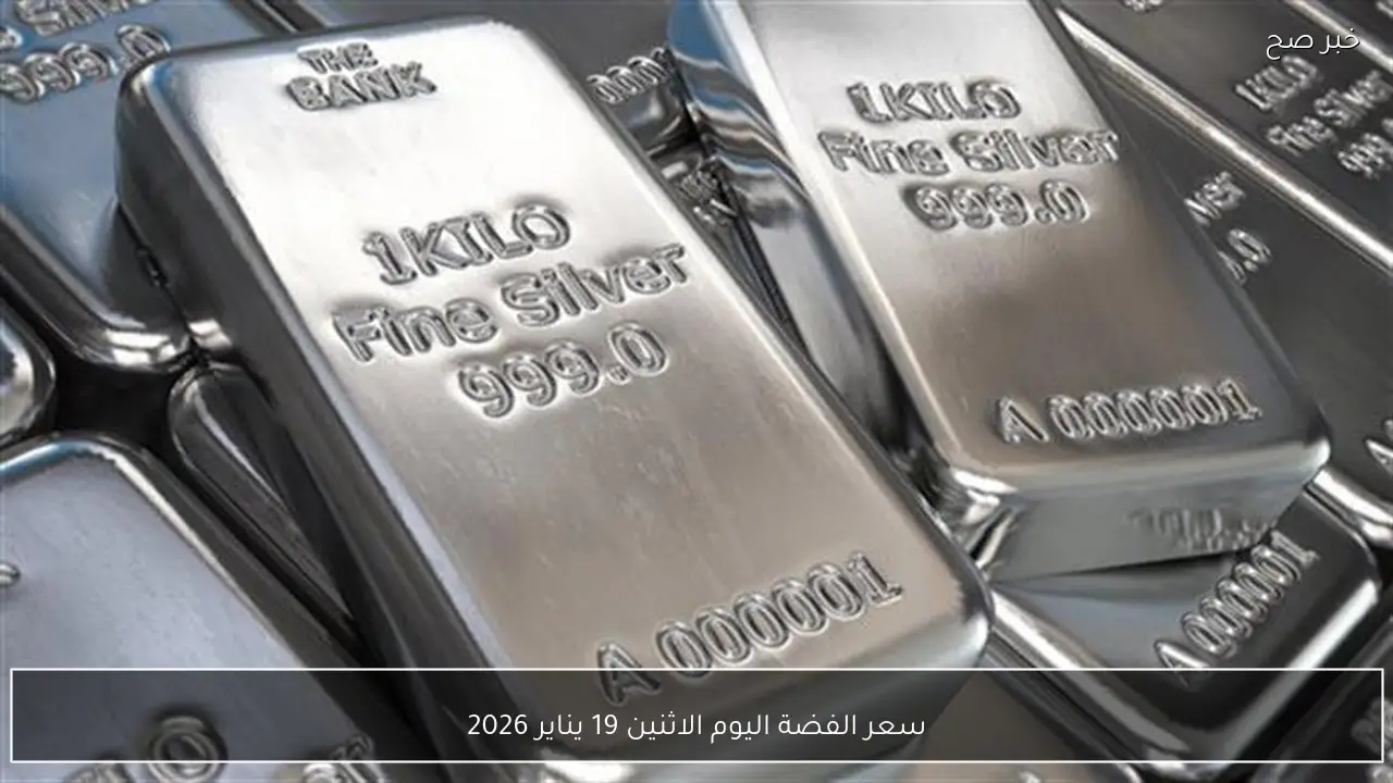 سعر الفضة اليوم الاثنين 19 يناير 2026 قي مصر عيار 99.9