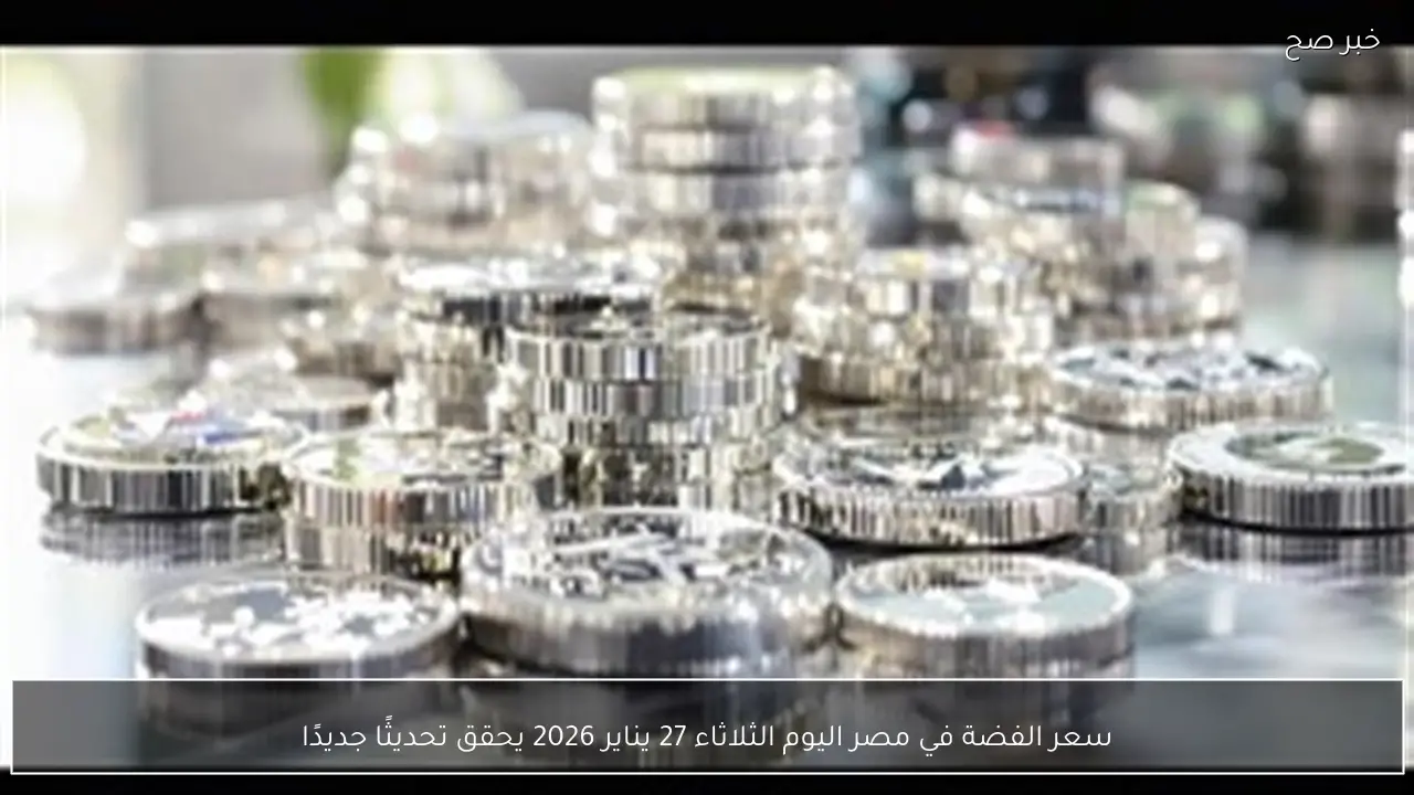 سعر الفضة في مصر اليوم الثلاثاء 27 يناير 2026 يحقق تحديثًا جديدًا