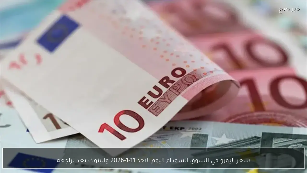 سعر اليورو في السوق السوداء اليوم الاحد 11-1-2026 والبنوك بعد تراجعه