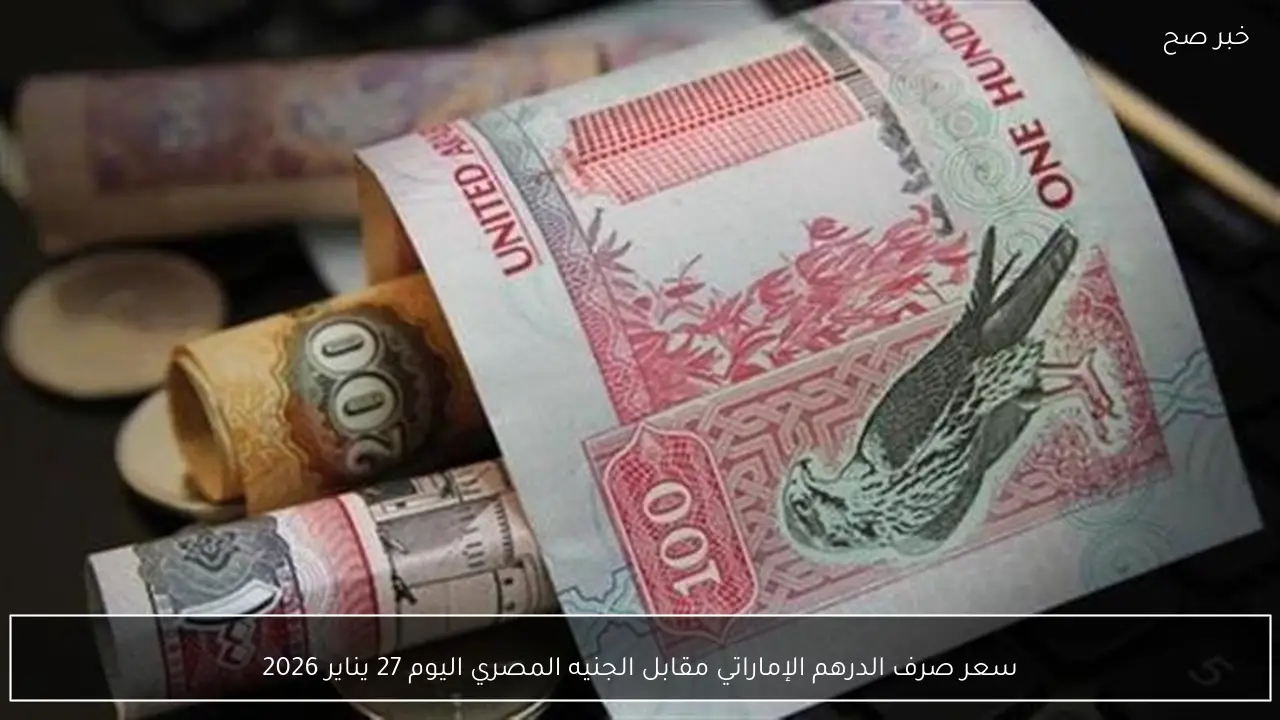 سعر صرف الدرهم الإماراتي مقابل الجنيه المصري اليوم 27 يناير 2026