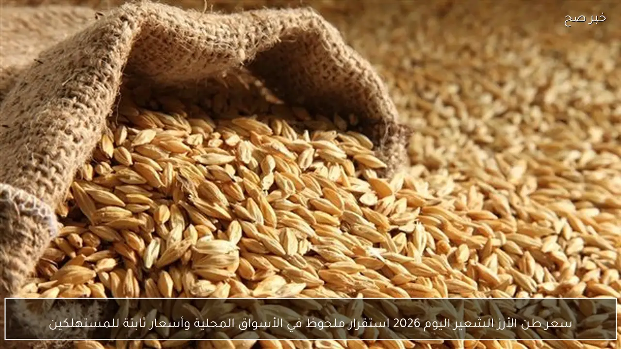سعر طن الأرز الشعير اليوم 2026 استقرار ملحوظ في الأسواق المحلية وأسعار ثابتة للمستهلكين
