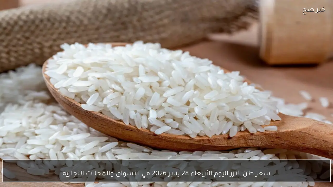 سعر طن الأرز اليوم الأربعاء 28 يناير 2026 في مصر داخل الأسواق والمحلات التجارية
