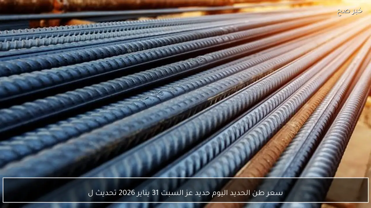 سعر طن الحديد اليوم حديد عز السبت 31 يناير 2026 تحديث لحظي