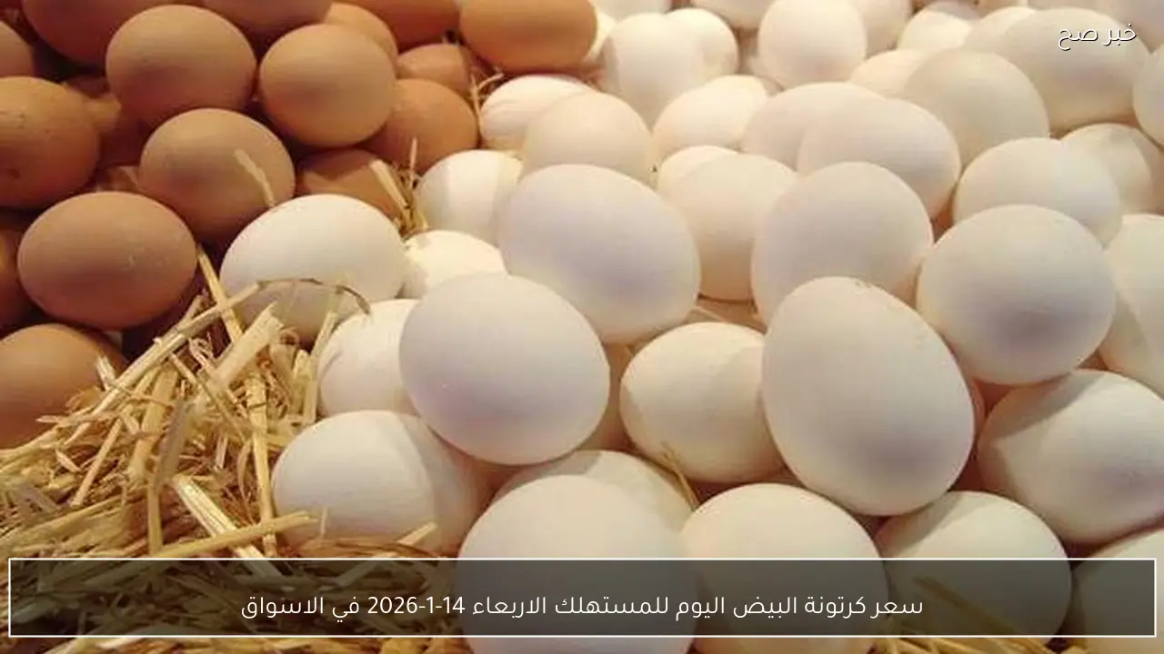 سعر كرتونة البيض اليوم للمستهلك الاربعاء 14-1-2026 في الاسواق