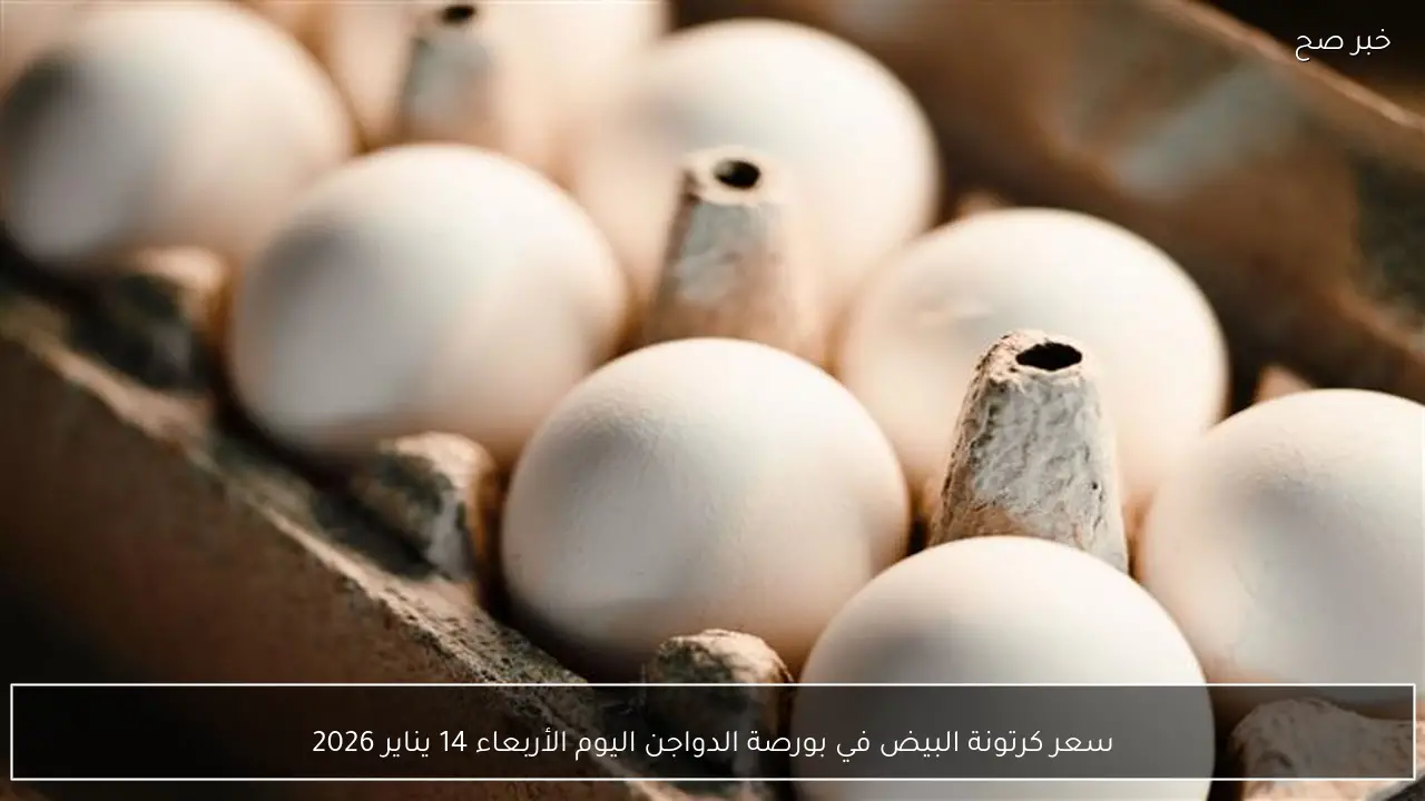 سعر كرتونة البيض في بورصة الدواجن اليوم الأربعاء 14 يناير 2026