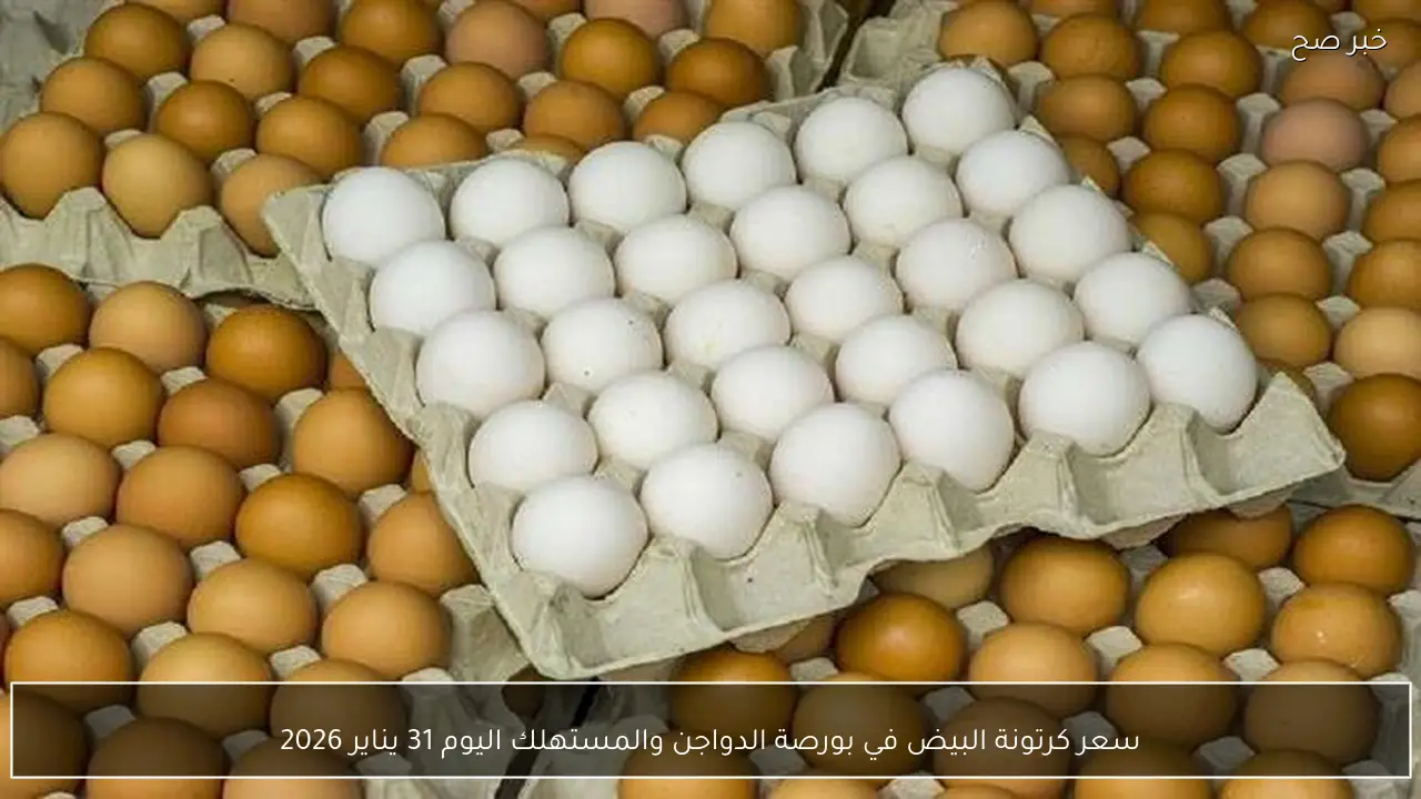 سعر كرتونة البيض في بورصة الدواجن والمستهلك اليوم 31 يناير 2026