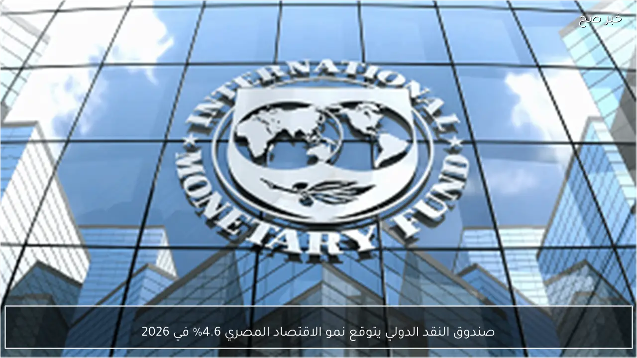 صندوق النقد الدولي يتوقع نمو الاقتصاد المصري 4.6% في 2026