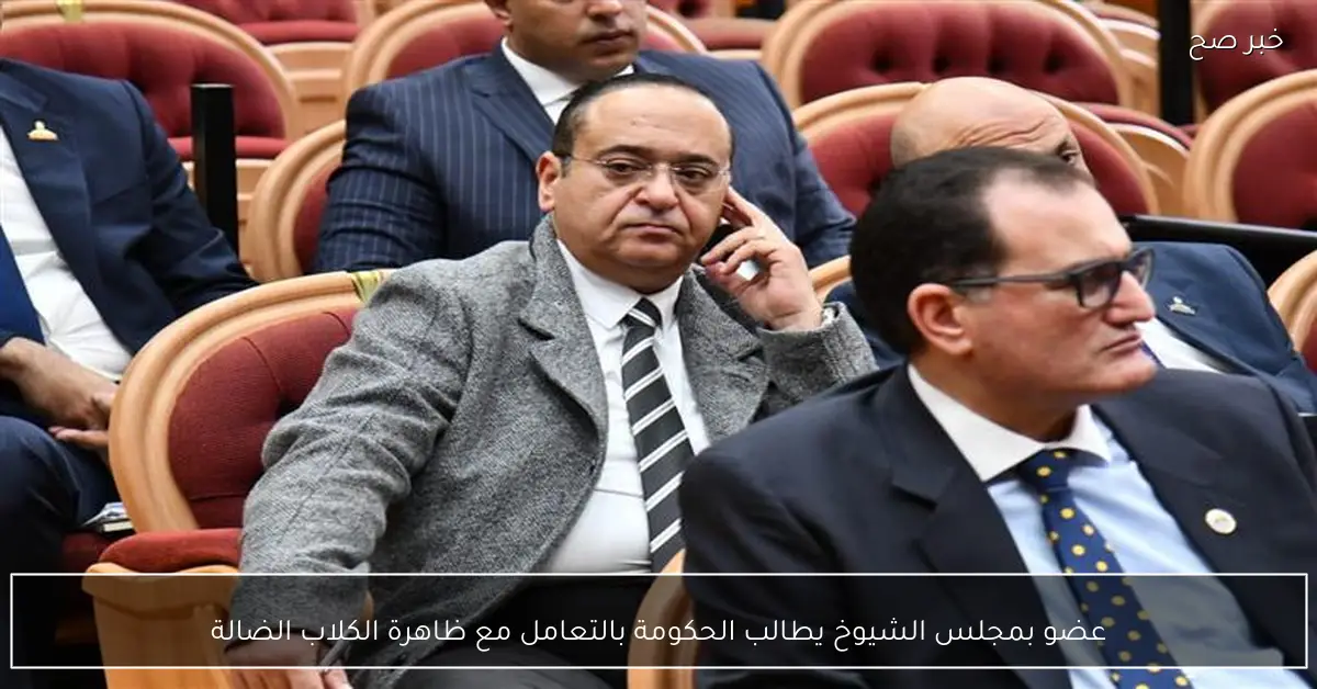 عضو بمجلس الشيوخ يطالب الحكومة بالتعامل مع ظاهرة الكلاب الضالة