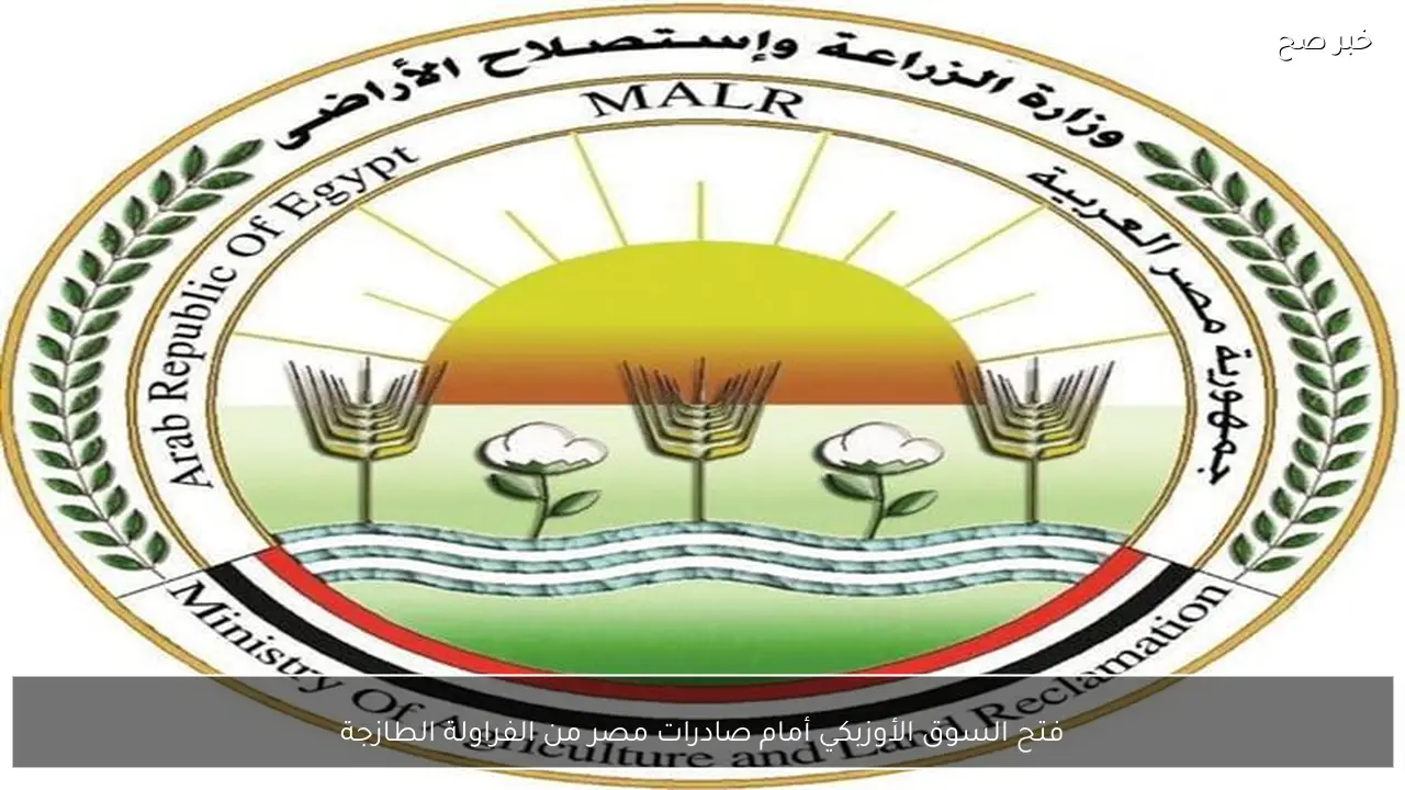 فتح السوق الأوزبكي أمام صادرات مصر من الفراولة الطازجة