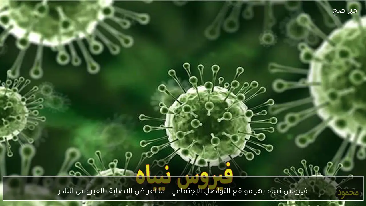 فيروس نيباه يهز مواقع التواصل الإجتماعي.. ما أعراض الإصابة بالفيروس النادر