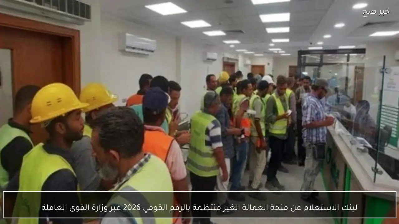 لينك الاستعلام عن منحة العمالة الغير منتظمة بالرقم القومي 2026 عبر وزارة القوى العاملة