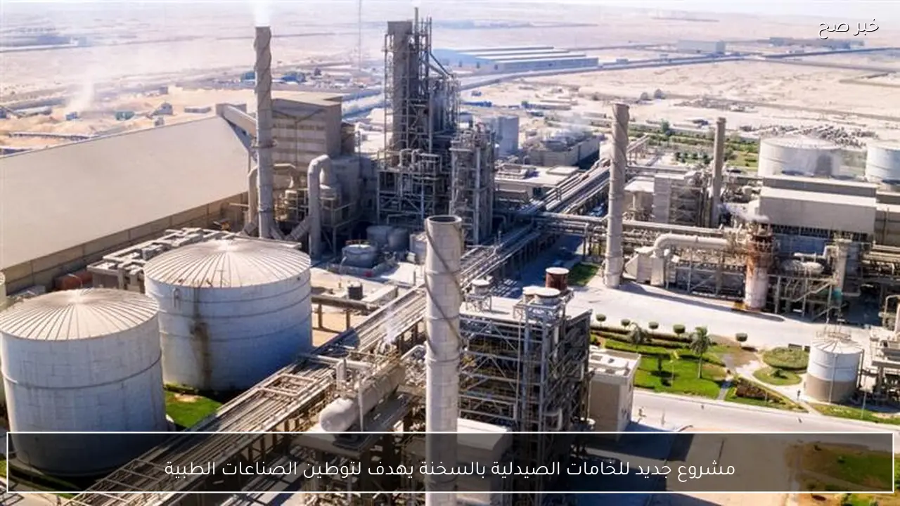 مشروع جديد للخامات الصيدلية بالسخنة يهدف لتوطين الصناعات الطبية