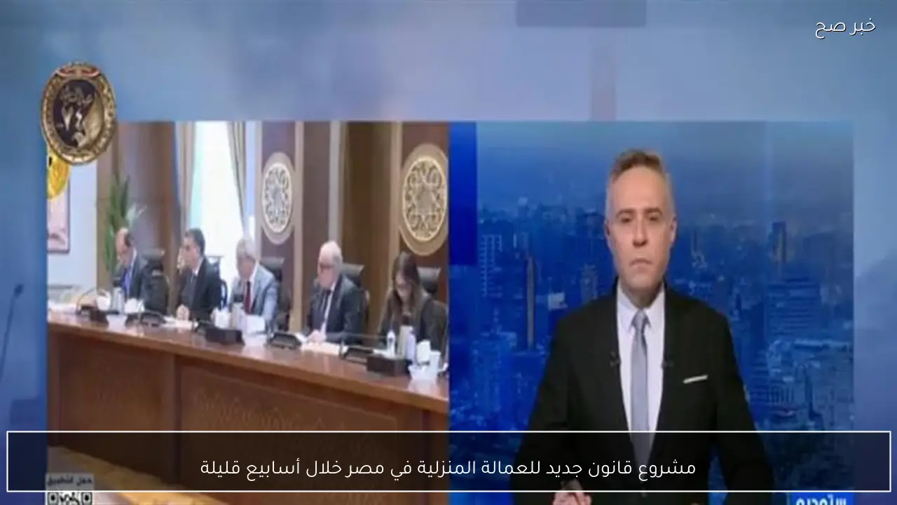 مشروع قانون جديد للعمالة المنزلية في مصر خلال أسابيع قليلة