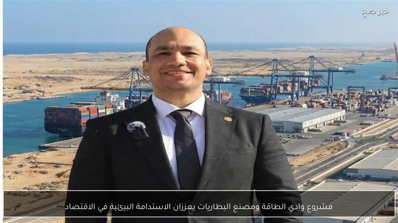 مشروع وادي الطاقة ومصنع البطاريات يعززان الاستدامة البيئية في الاقتصاد