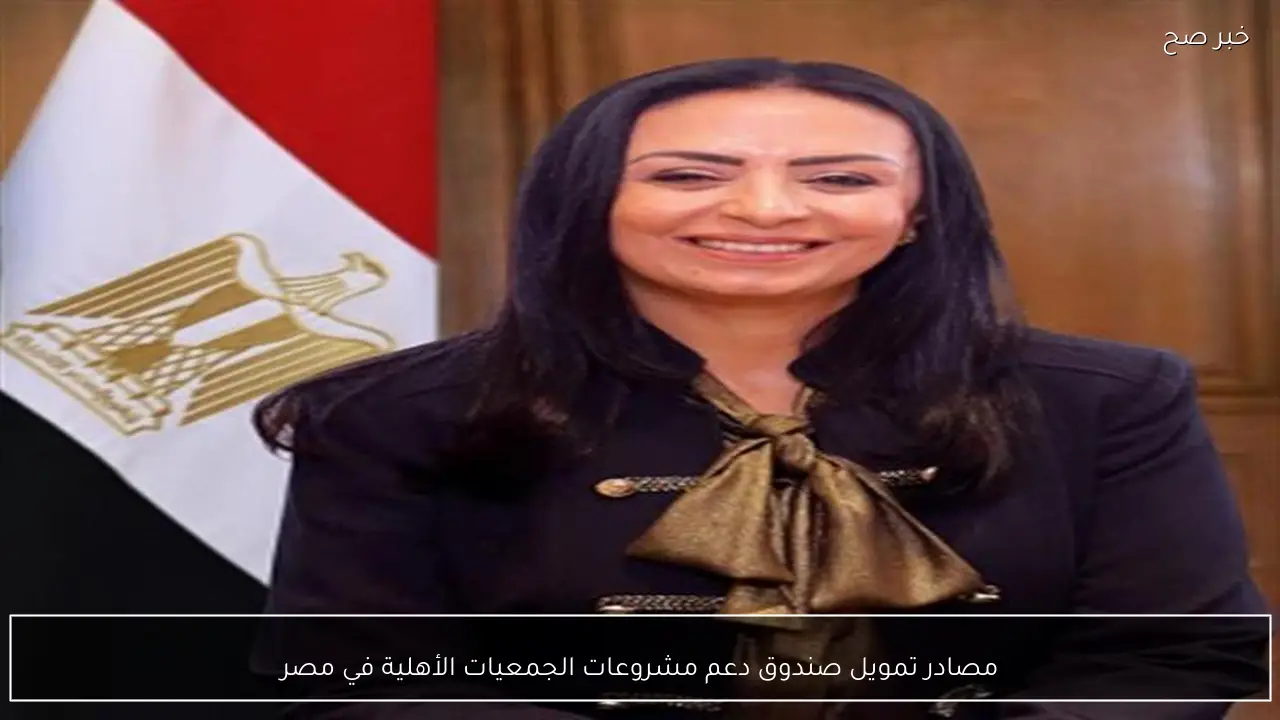 مصادر تمويل صندوق دعم مشروعات الجمعيات الأهلية في مصر