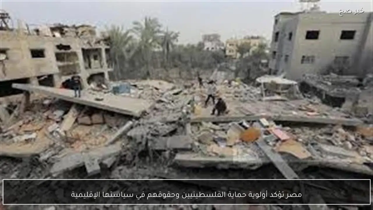 مصر تؤكد أولوية حماية الفلسطينيين وحقوقهم في سياستها الإقليمية