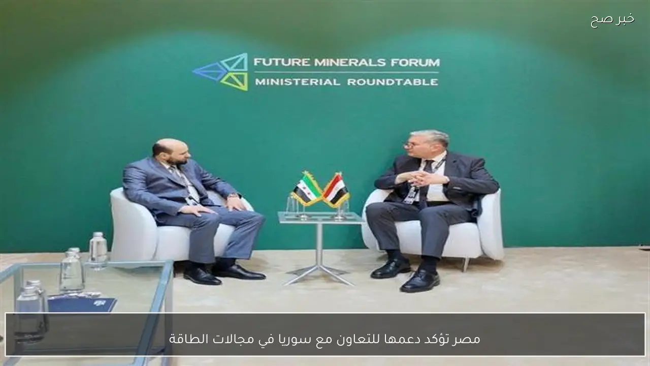 مصر تؤكد دعمها للتعاون مع سوريا في مجالات الطاقة