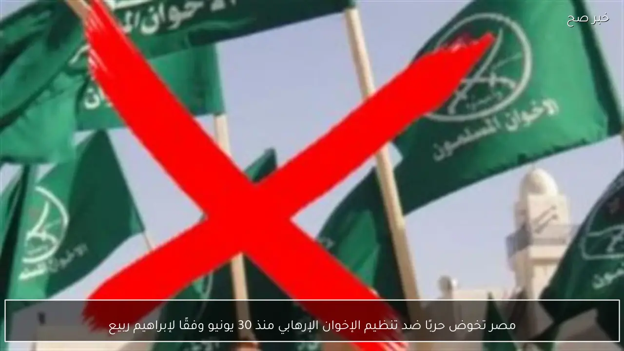 مصر تخوض حربًا ضد تنظيم الإخوان الإرهابي منذ 30 يونيو وفقًا لإبراهيم ربيع