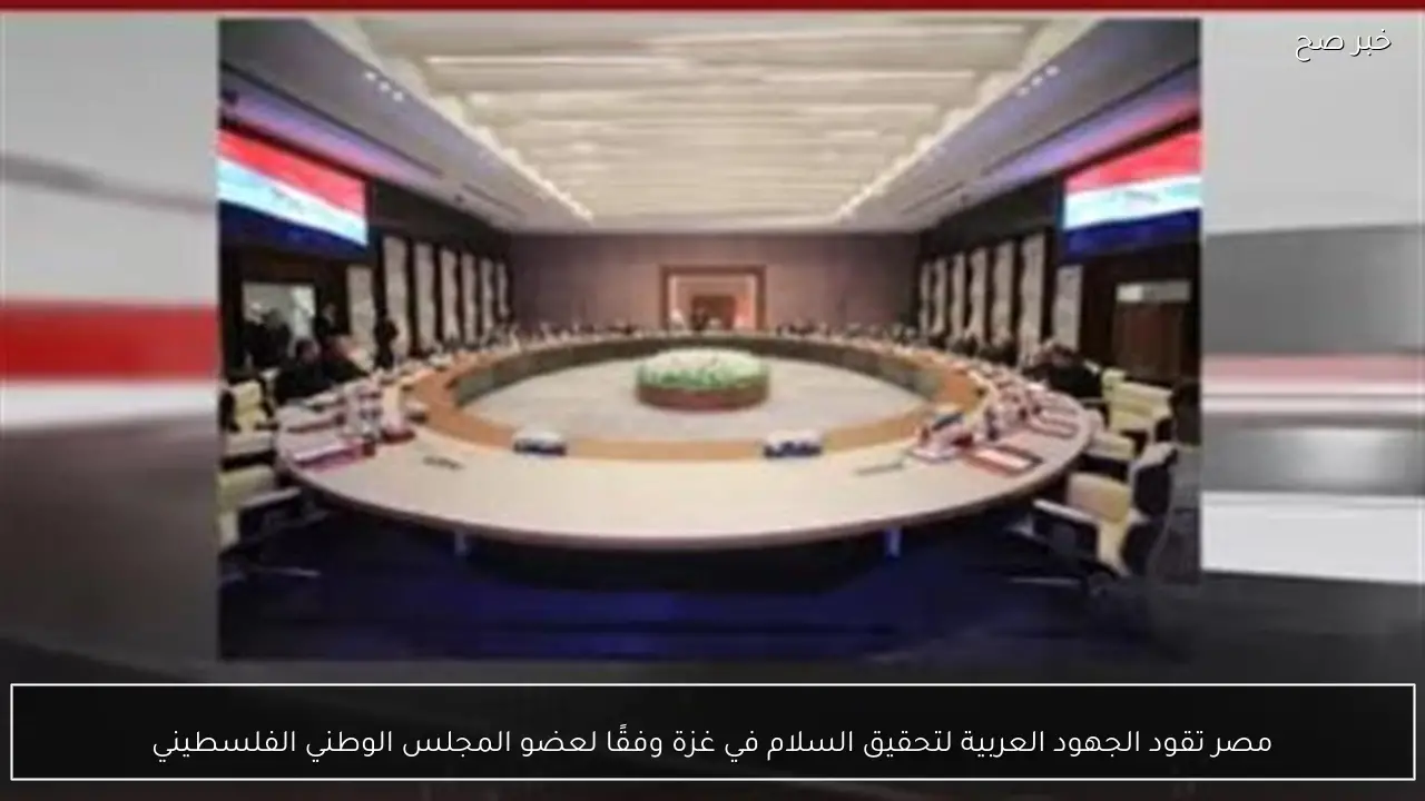 مصر تقود الجهود العربية لتحقيق السلام في غزة وفقًا لعضو المجلس الوطني الفلسطيني