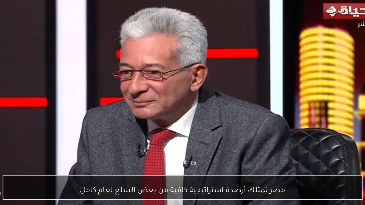 مصر تمتلك أرصدة استراتيجية كافية من بعض السلع لعام كامل