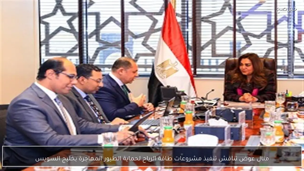 منال عوض تناقش تنفيذ مشروعات طاقة الرياح لحماية الطيور المهاجرة بخليج السويس