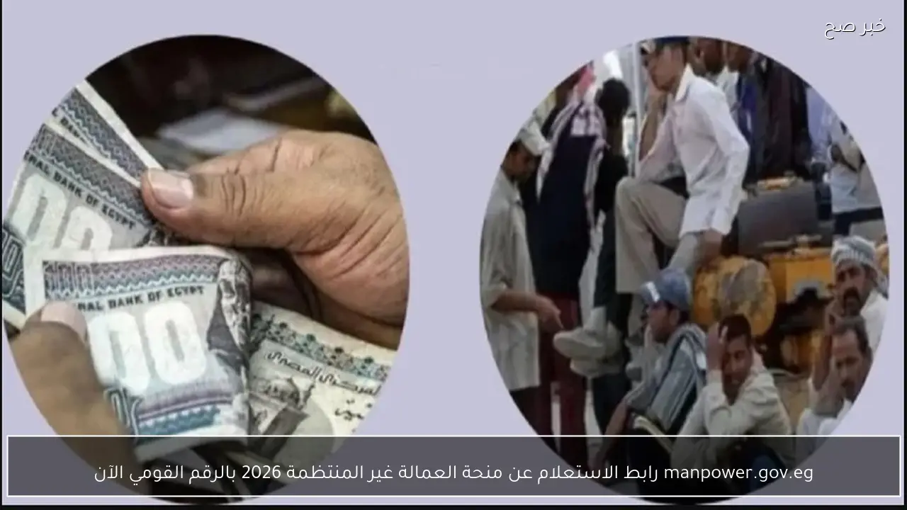 manpower.gov.eg رابط الاستعلام عن منحة العمالة غير المنتظمة 2026 بالرقم القومي الآن