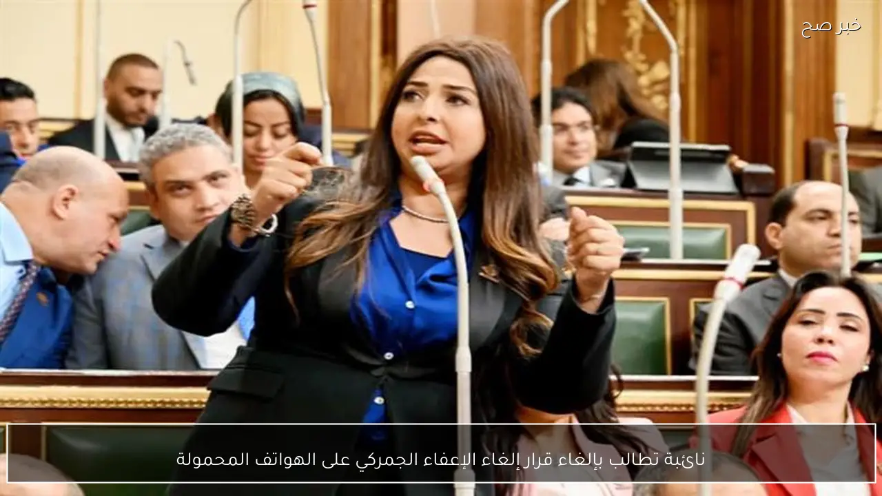 نائبة تطالب بإلغاء قرار إلغاء الإعفاء الجمركي على الهواتف المحمولة