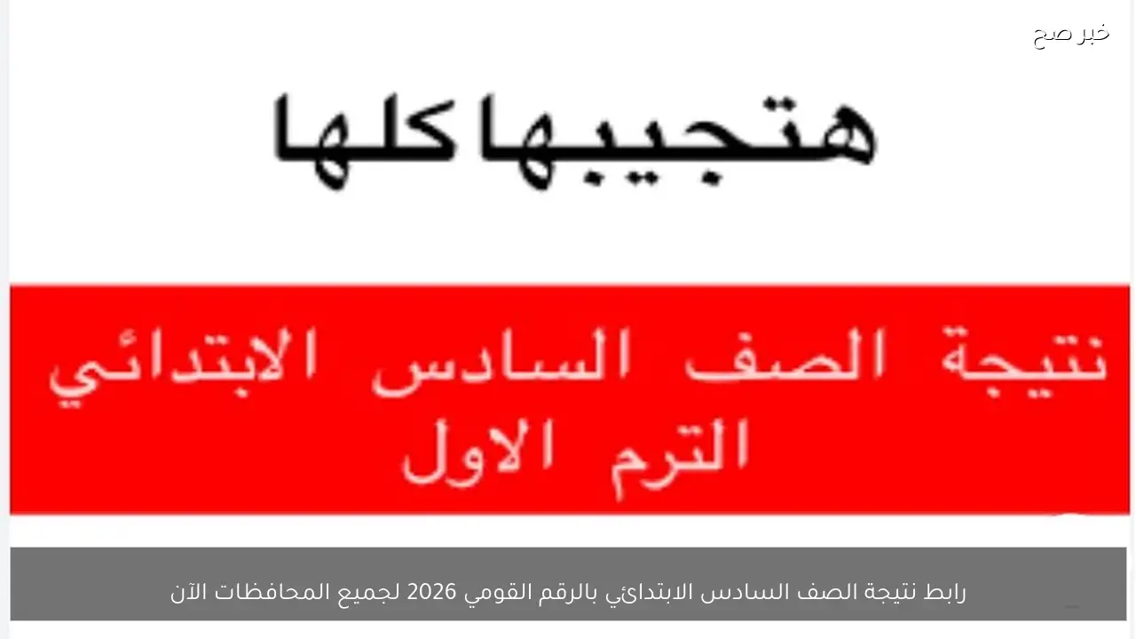 رابط نتيجة الصف السادس الابتدائي بالرقم القومي 2026 لجميع المحافظات الآن