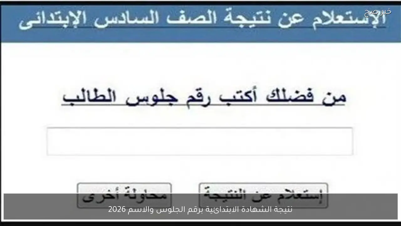 استعلم الآن .. نتيجة الشهادة الابتدائية برقم الجلوس والاسم 2026 في محافظة الجيزة