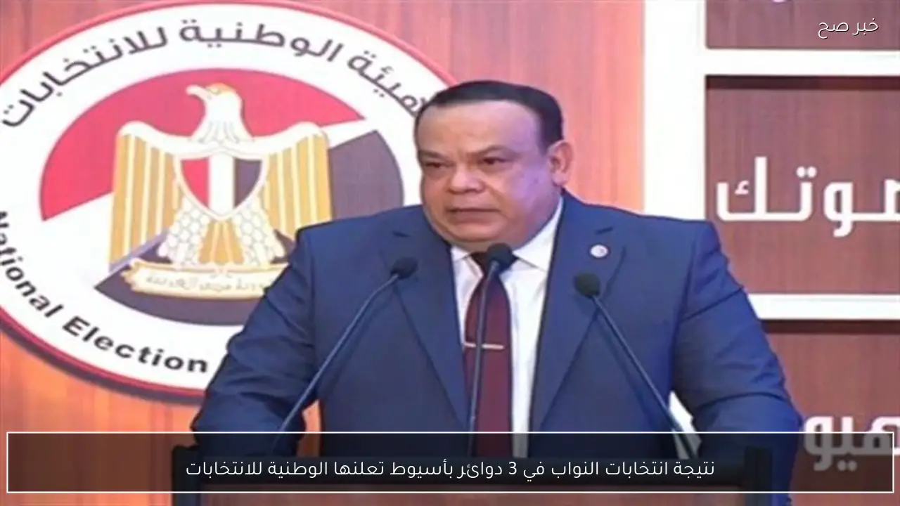 نتيجة انتخابات النواب في 3 دوائر بأسيوط تعلنها الوطنية للانتخابات