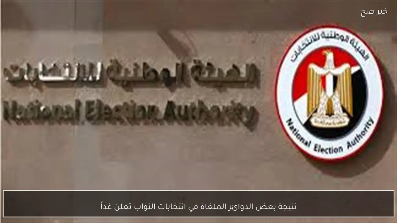 نتيجة بعض الدوائر الملغاة في انتخابات النواب تعلن غداً