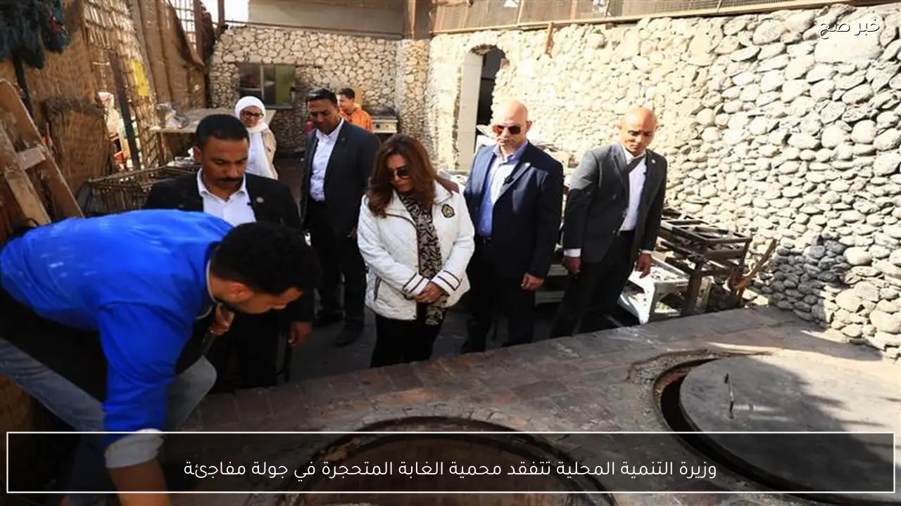 وزيرة التنمية المحلية تتفقد محمية الغابة المتحجرة في جولة مفاجئة