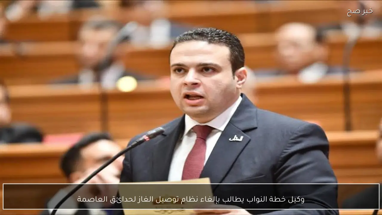 وكيل خطة النواب يطالب بإلغاء نظام توصيل الغاز لحدائق العاصمة