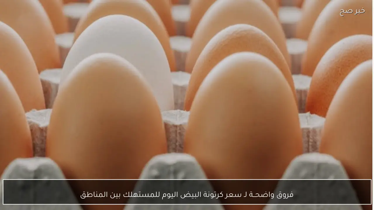 فروق واضحــة لـ سعر كرتونة البيض اليوم للمستهلك بين المناطق