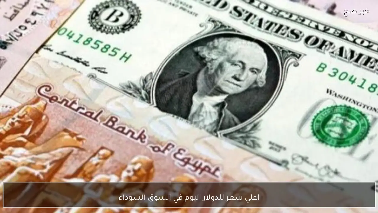 مباشر الآن.. اعلي سعر للدولار اليوم في السوق السوداء السبت 21-2-2026 مقابل الجنيه المصري