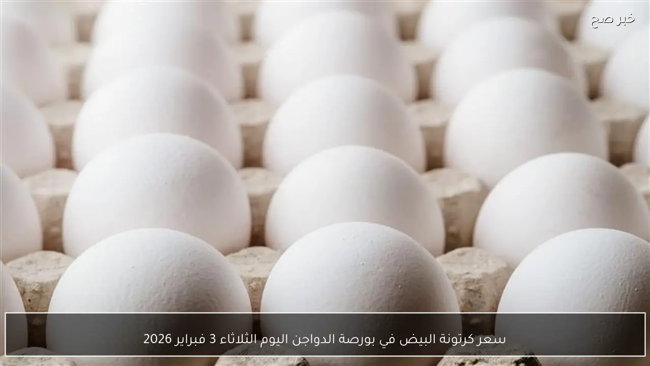سعر كرتونة البيض في بورصة الدواجن اليوم الثلاثاء 3 فبراير 2026