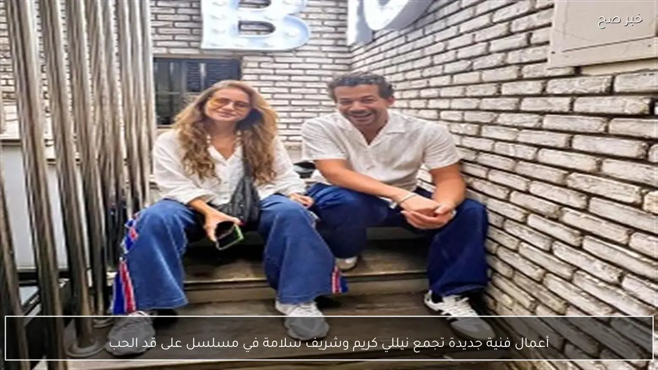 أعمال فنية جديدة تجمع نيللي كريم وشريف سلامة في مسلسل على قد الحب