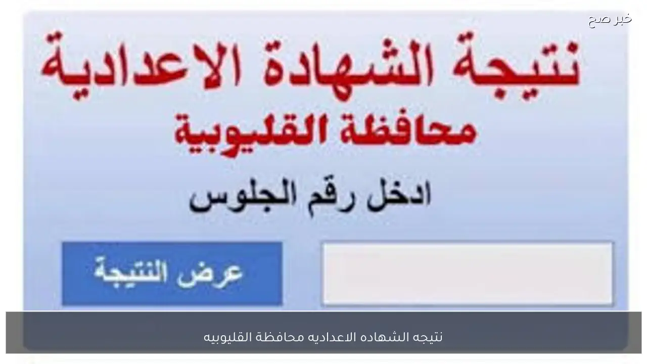 رابط استخراج نتيجه الشهاده الاعداديه محافظة القليوبيه 2026 الترم الاول فور اعتمادها رسميًا