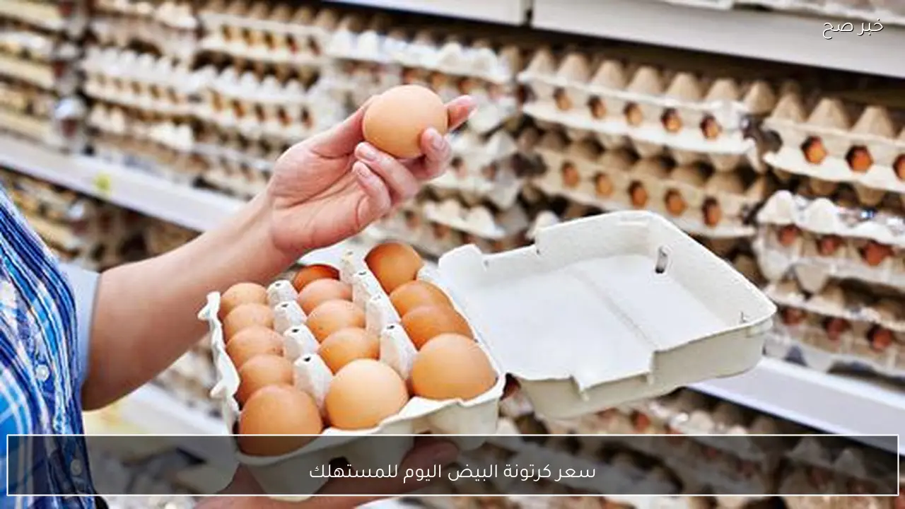 احمر وابيض وبلدي.. سعر كرتونة البيض اليوم للمستهلك الخميس 12-2-2026 بالاسواق المحلية