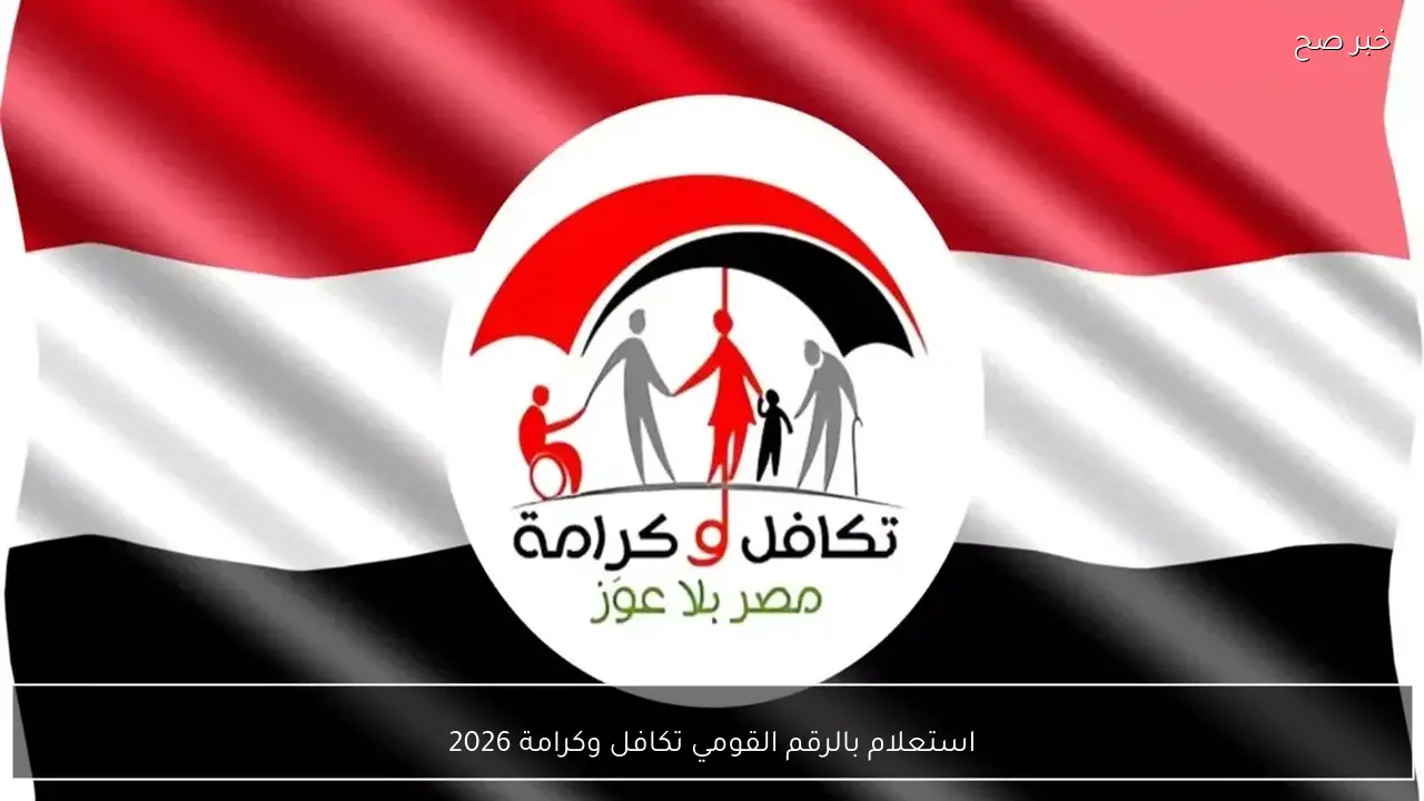 رابط استعلام بالرقم القومي تكافل وكرامة 2026 عبر موقع وزارة التضامن موعد صرف معاش فبراير