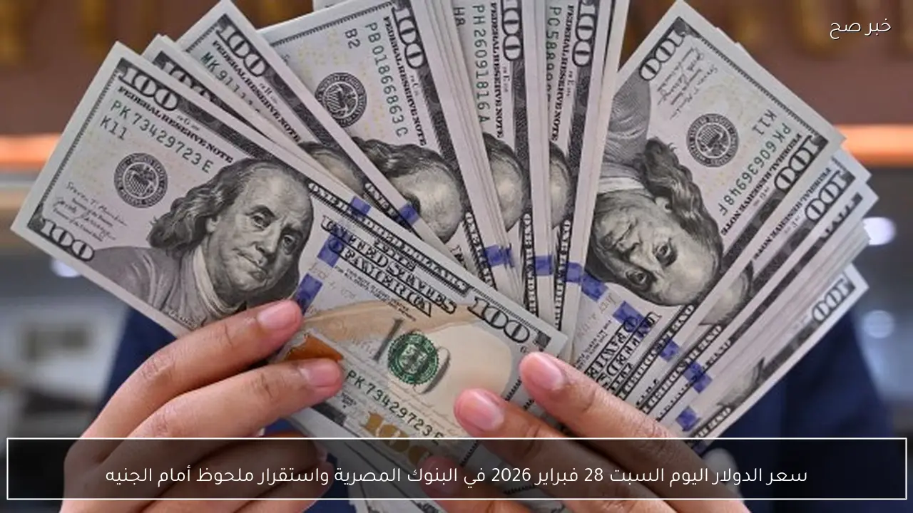 سعر الدولار اليوم السبت 28 فبراير 2026 في البنوك المصرية واستقرار ملحوظ أمام الجنيه