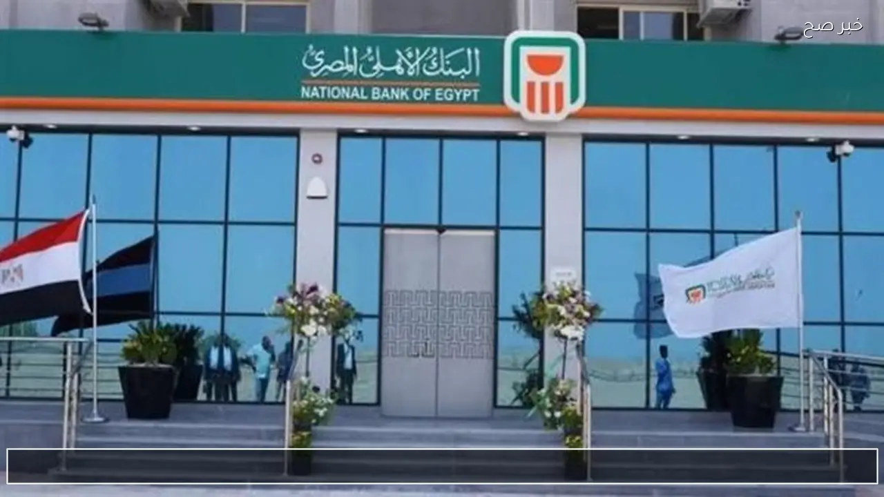 أعلى فائدة في مصر 2026.. شهادات البنك الأهلي البلاتينية تشعل المنافسة بين المدخرين.. تفاصيل كاملة
