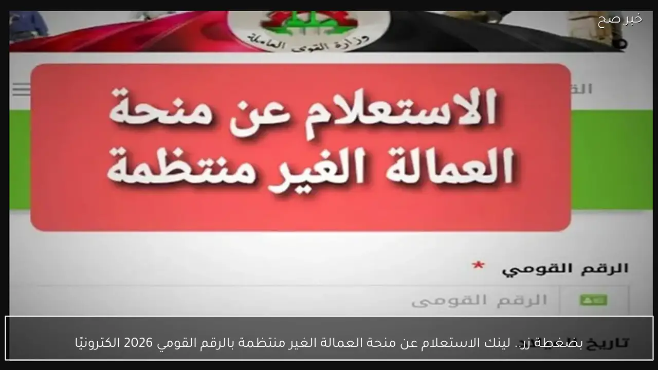 مُتاح الأن.. لينك الاستعلام عن منحة العمالة الغير منتظمة بالرقم القومي 2026 الكترونيًا
