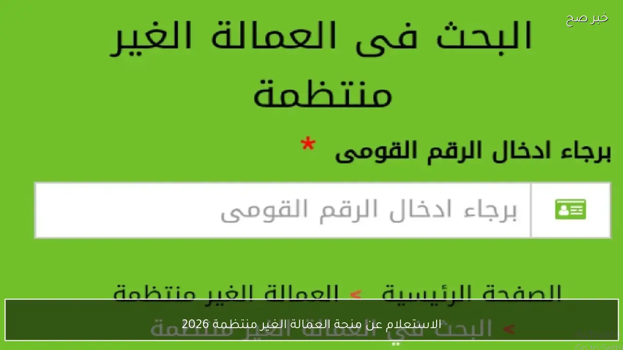 “مُتاح الآن”.. رابط الاستعلام عن منحة العمالة الغير منتظمة 2026 بالرقم القومي