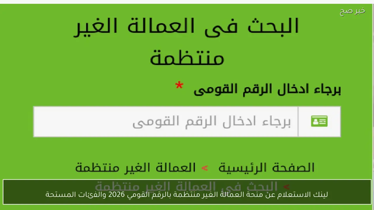 “مُفعل الآن”.. لينك الاستعلام عن منحة العمالة الغير منتظمة بالرقم القومي 2026 والفئات المستحقة