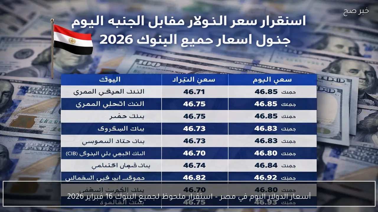 أسعار الدولار اليوم في مصر – استقرار ملحوظ لجميع البنوك 16 فبراير 2026
